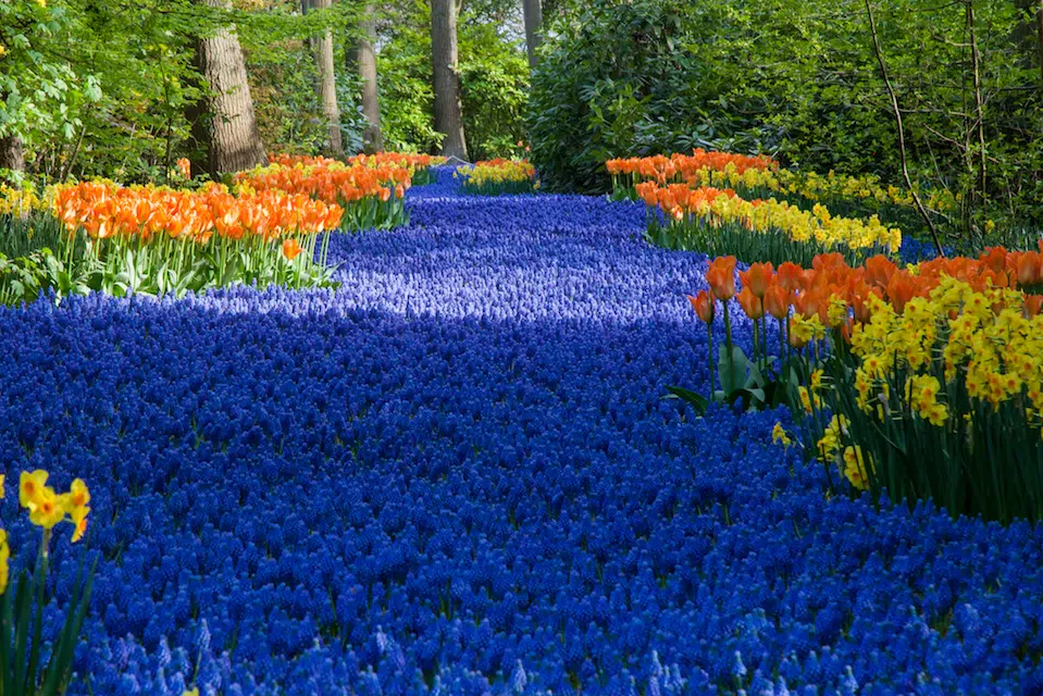 The Emotions of Color, Part 2: Cool Colors