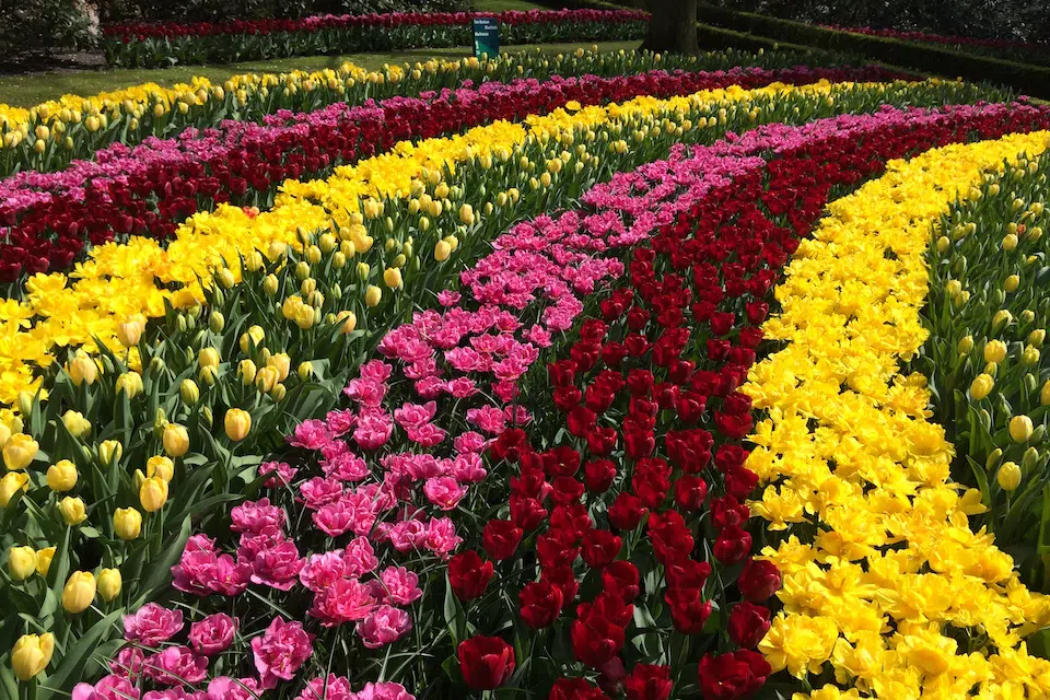 The Power of Color
